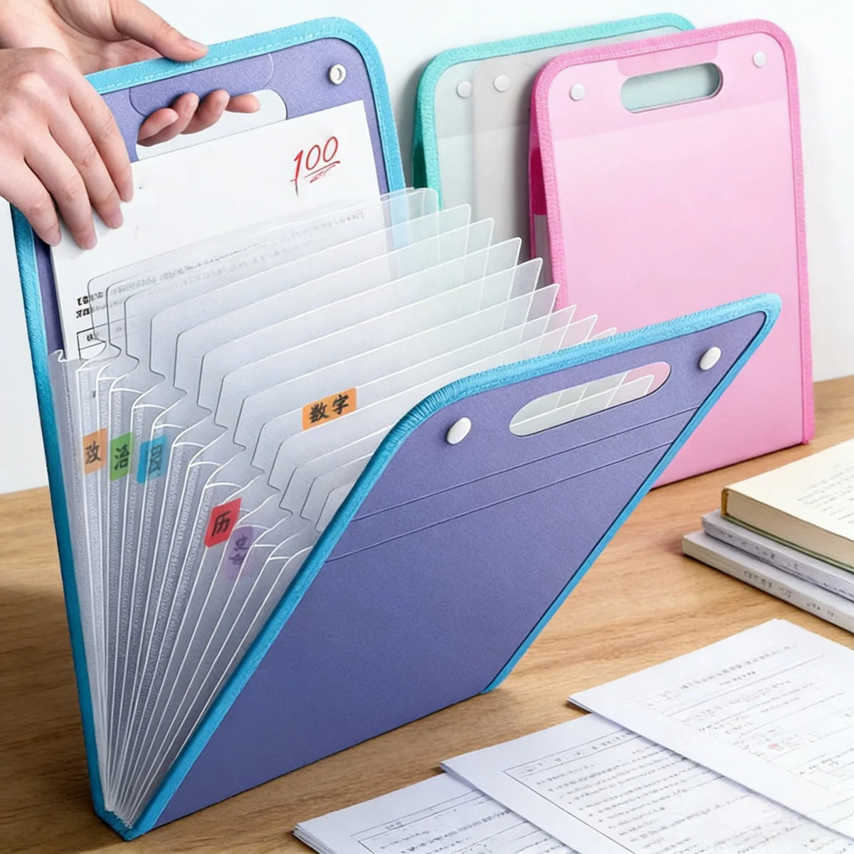 13-Pocket Expanding File Folder Accordion Document Organizer Accordion File Organizer Babs
