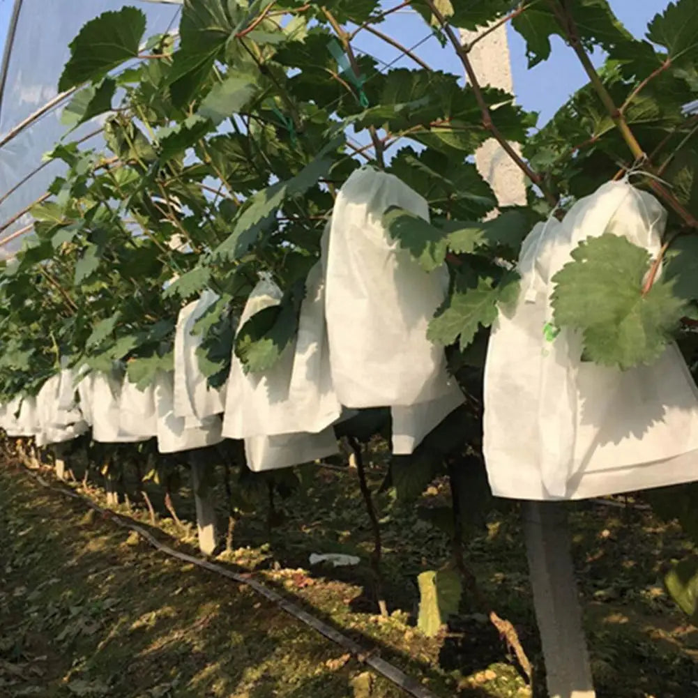 50/100Pcs Fruit Protection Bags – Mesh Netting with Drawstring Fruit Protection Bags Babs