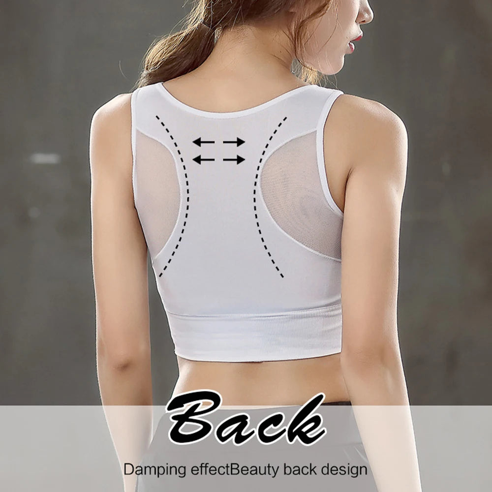 Women's Seamless Push Up Sports Bra – Yoga & Gym Bralette Women's Sports Bra Babs