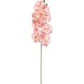 3D Silk Butterfly Orchid Artificial Flower Branch – 1/3 Pcs