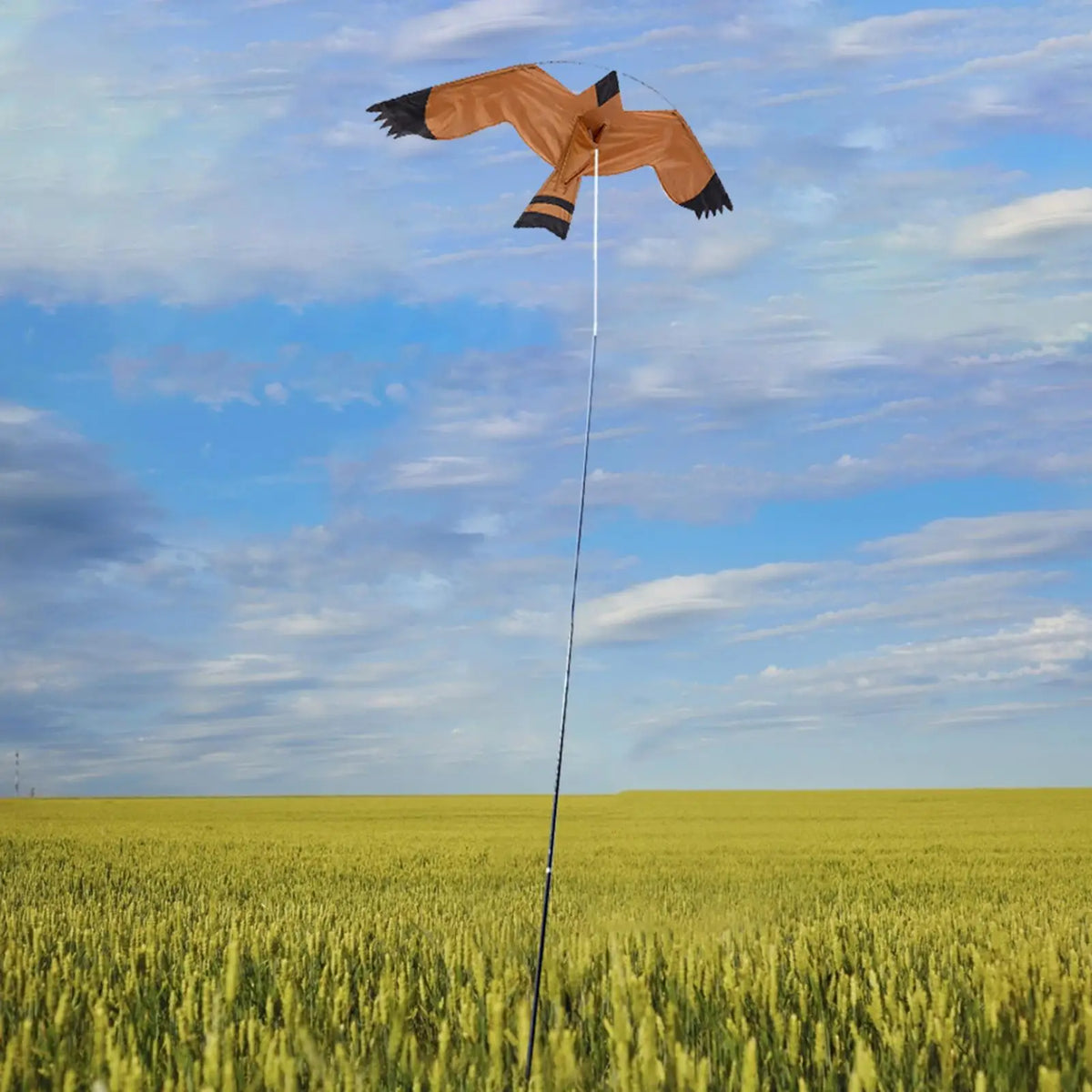 Eagle Kite Bird Scarer – Large Scarecrow Decoy for Farm & Garden Bird Scarer Kite Babs