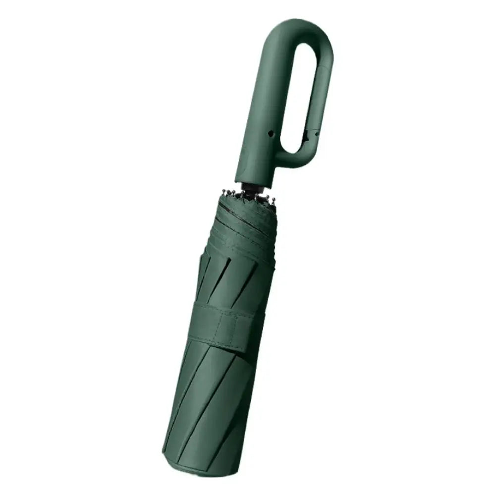 10-Rib Auto Folding Umbrella – UPF 50+, Windproof, Compact Compact Folding Umbrella Babs E