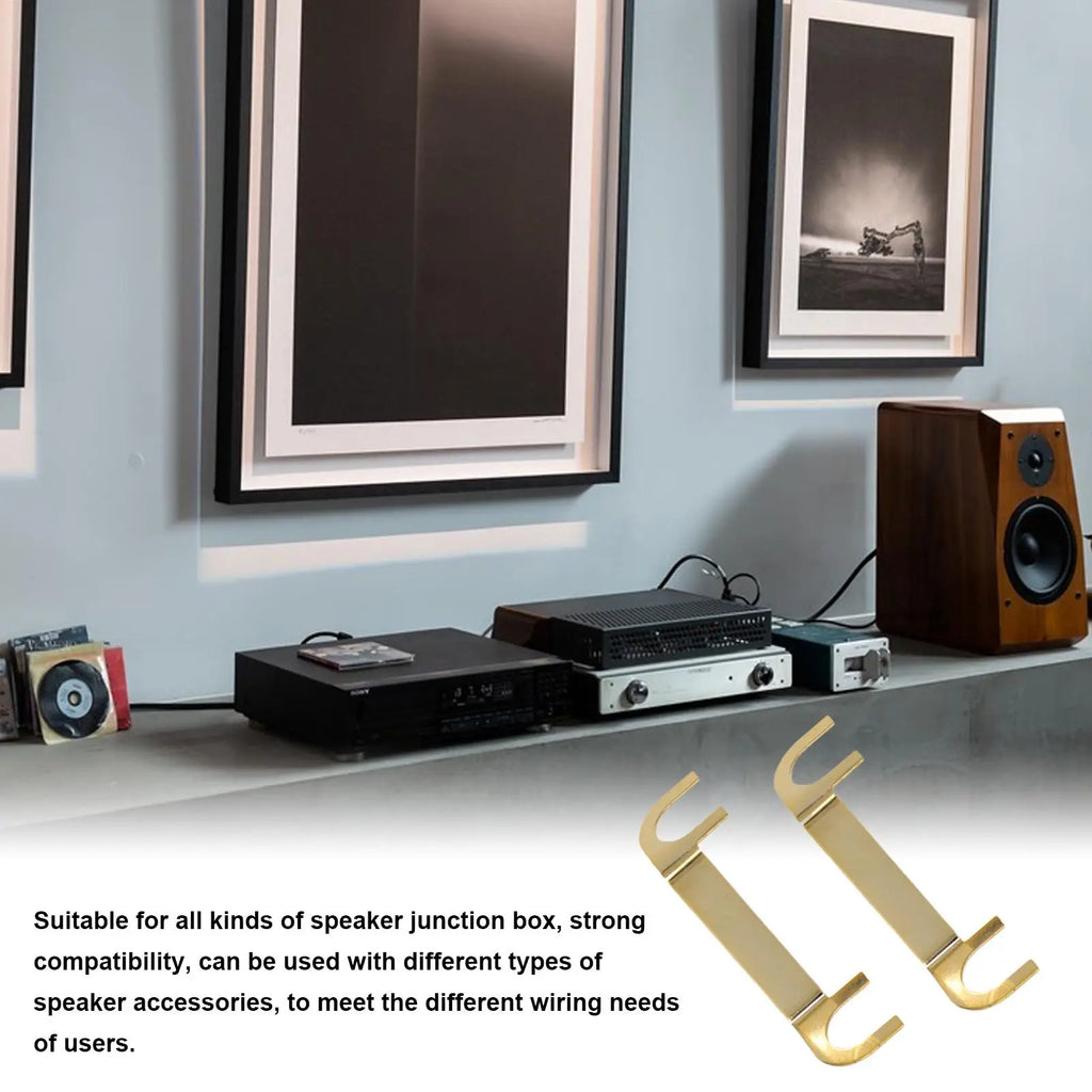2Pcs Gold-Plated Copper Speaker Binding Post Terminal Lugs Speaker Terminal Connector Babs