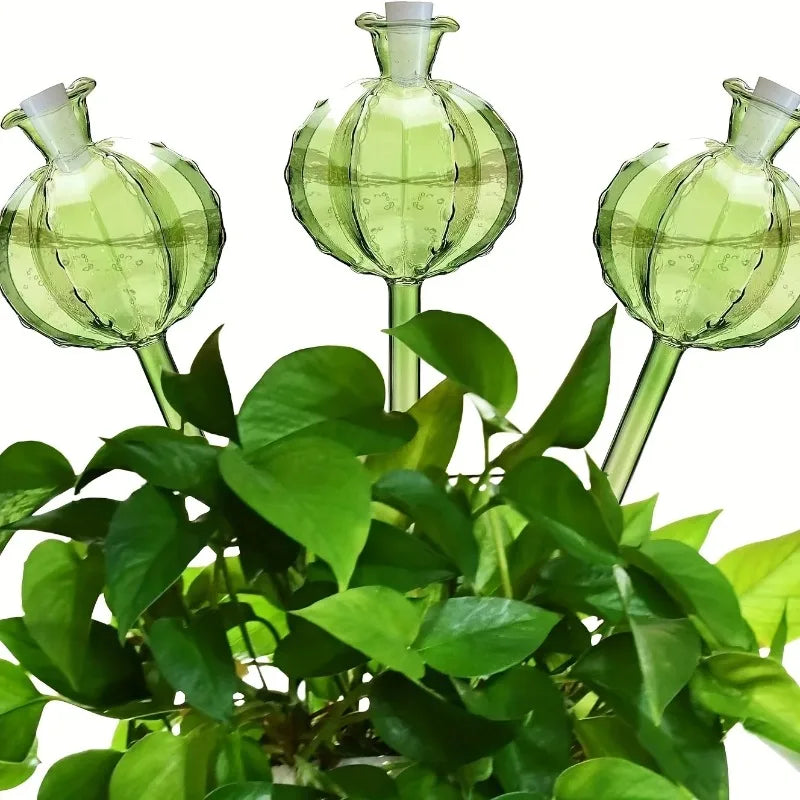 Cactus Self-Watering Bulbs – Automatic Plant Watering Spikes 2pc Plant Watering Spikes Babs