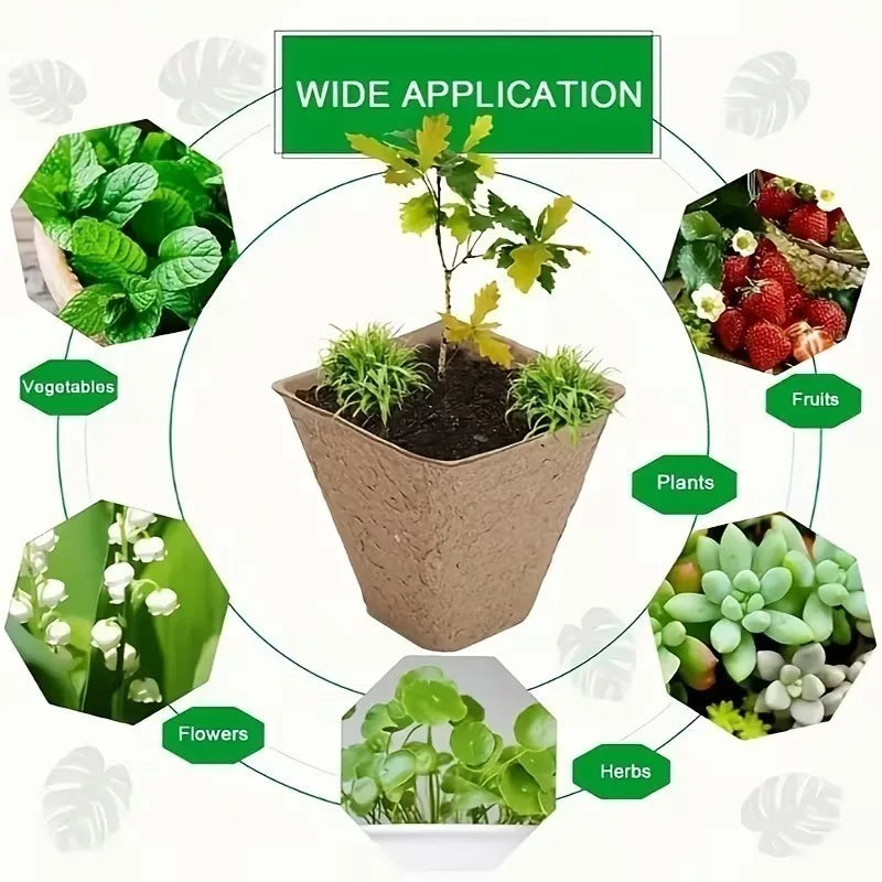 10-Cell Biodegradable Seed Starter Tray | Eco Paper Pulp Nursery Seed Starter Tray Babs