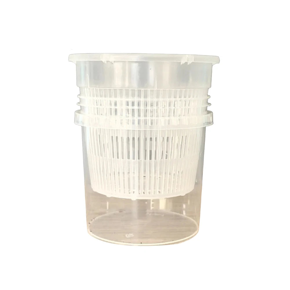 Self-Watering Orchid Pot | Transparent Plastic Planter with Holes Self-Watering Planter Babs A 16CM