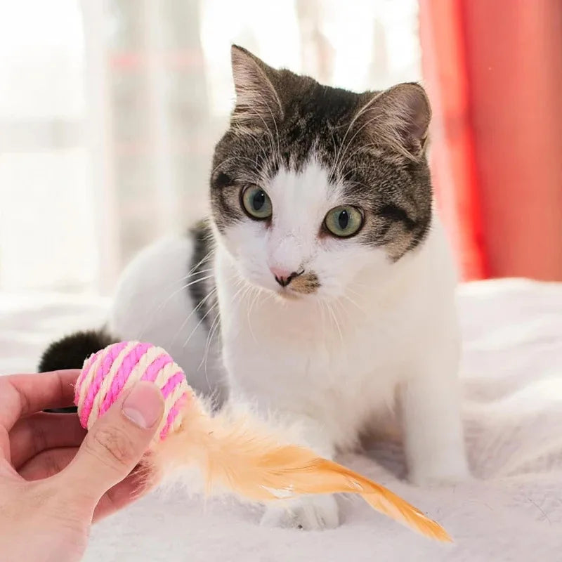 Sisal Feather Ball Cat Scratch Toys – Pack of 1/2/5/10 Cat Scratch Toy Babs