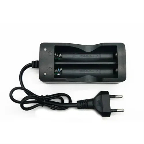 Alasicka 18650 Dual Slot Smart Li-ion Battery Charger + Cable Battery Charger Babs EU