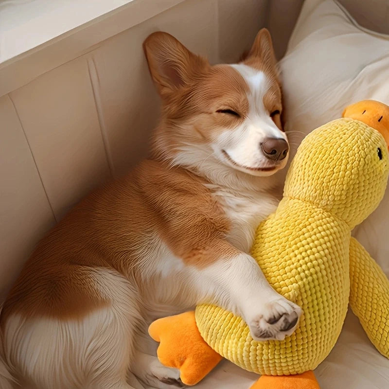 Yellow Duck Dog Calming Toy with Quacking Sound | Fleece Plush Plush Dog Toy Babs