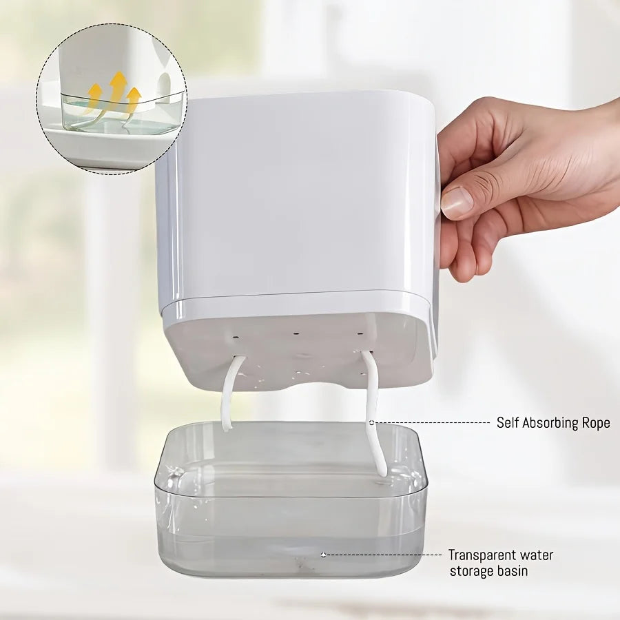 Clear Self-Watering Planter – Wicking Pot with Watering Bottle Self-Watering Planter Babs