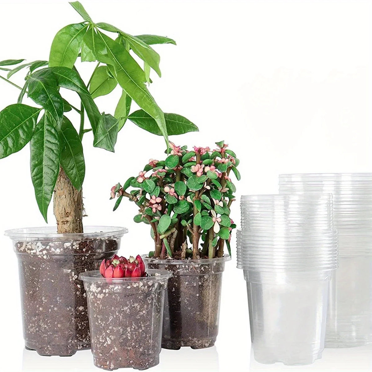 Clear Nursery Pots with Drainage – Transparent Variety Pack Nursery Pots Babs
