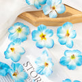 40/80pcs Silk Cherry Blossom Artificial Flowers UV Protection Artificial Silk Flowers Babs SKY BLUE 80 pcs