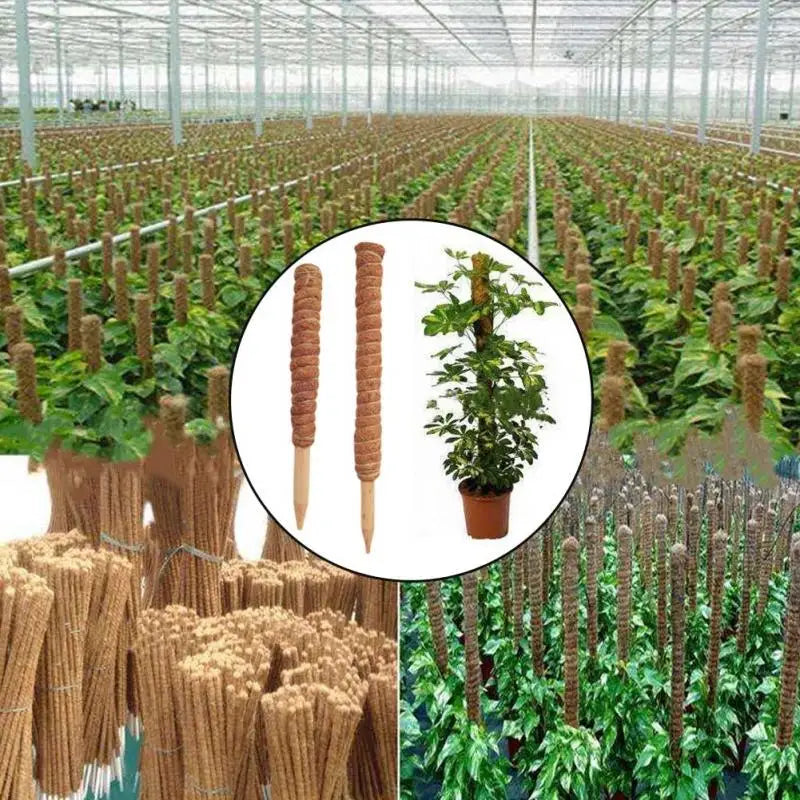 Coir Totem Pole Plant Support – 30/40/50cm Coconut Fiber Plant Support Stake Babs