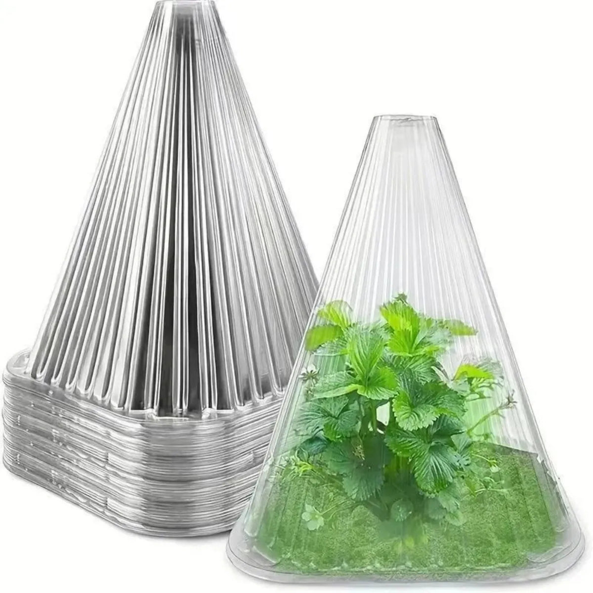 Plant Cloche Dome Covers 10-30pcs – Protect from Frost & Birds Plant Cloche Cover Babs 10PCS 1 One Size