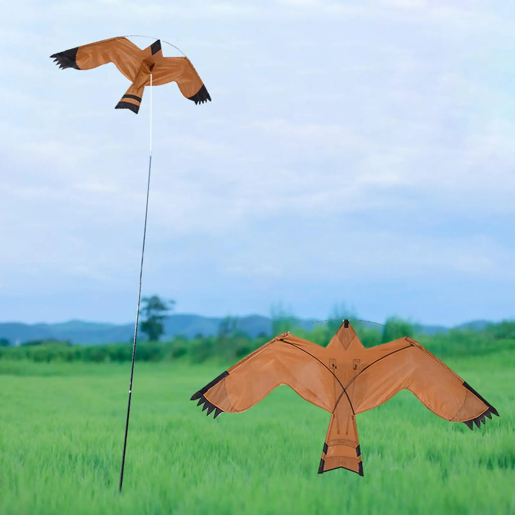 Eagle Kite Bird Scarer – Large Scarecrow Decoy for Farm & Garden Bird Scarer Kite Babs