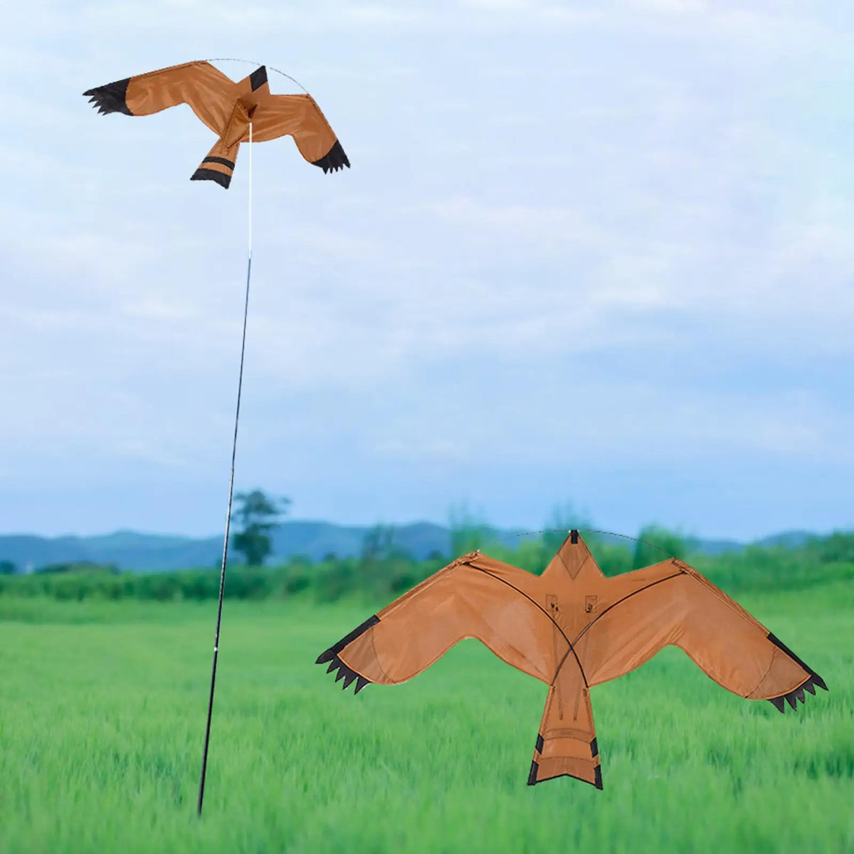Eagle Kite Bird Scarer – Large Scarecrow Decoy for Farm & Garden Bird Scarer Kite Babs