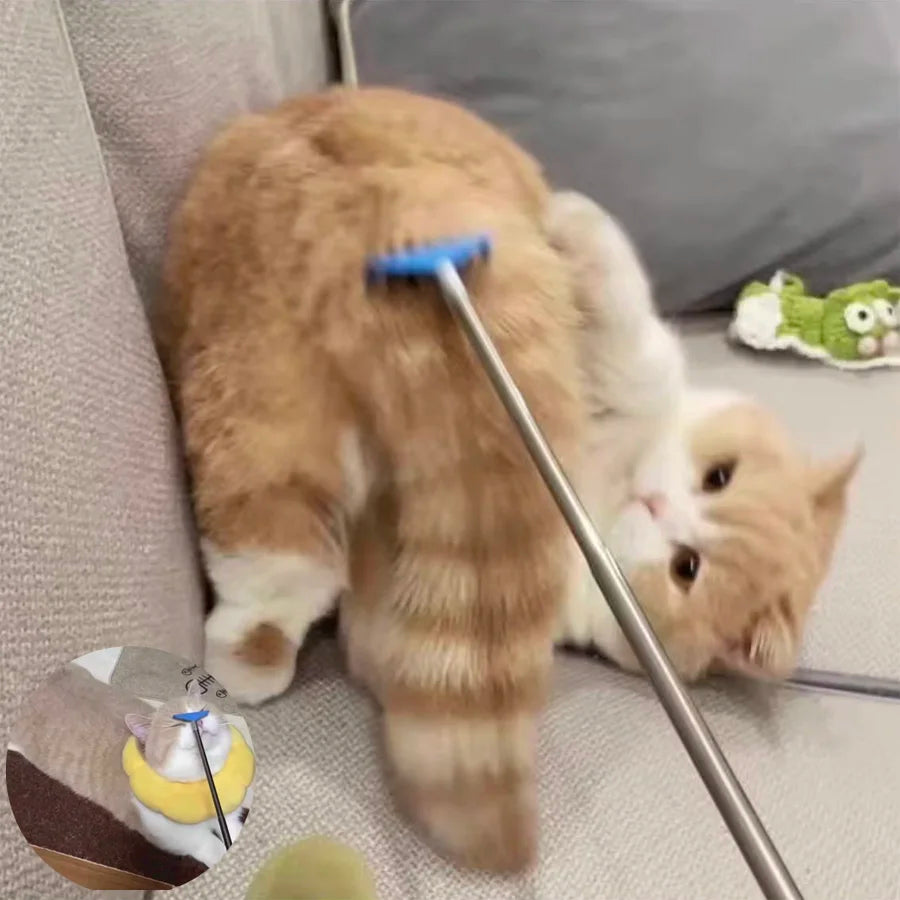Extendable Cat Teaser Stick – Interactive Toy & Grooming Comb Cat Toy & Groomer Babs