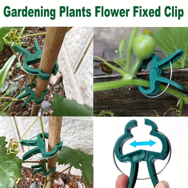 Plant Support Clips for Tomatoes & Climbing Vines | Garden Garden Plant Clips Babs