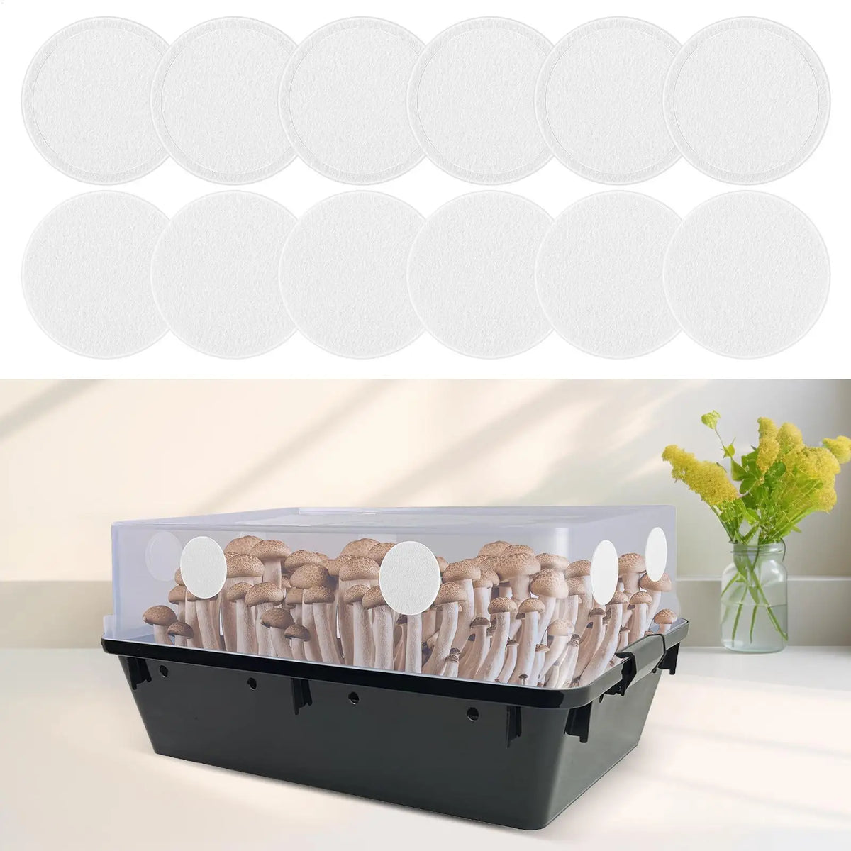 Monotub Adhesive Filter Discs 2MM – 24pc Mushroom Grow Pads Mushroom Grow Filter Babs