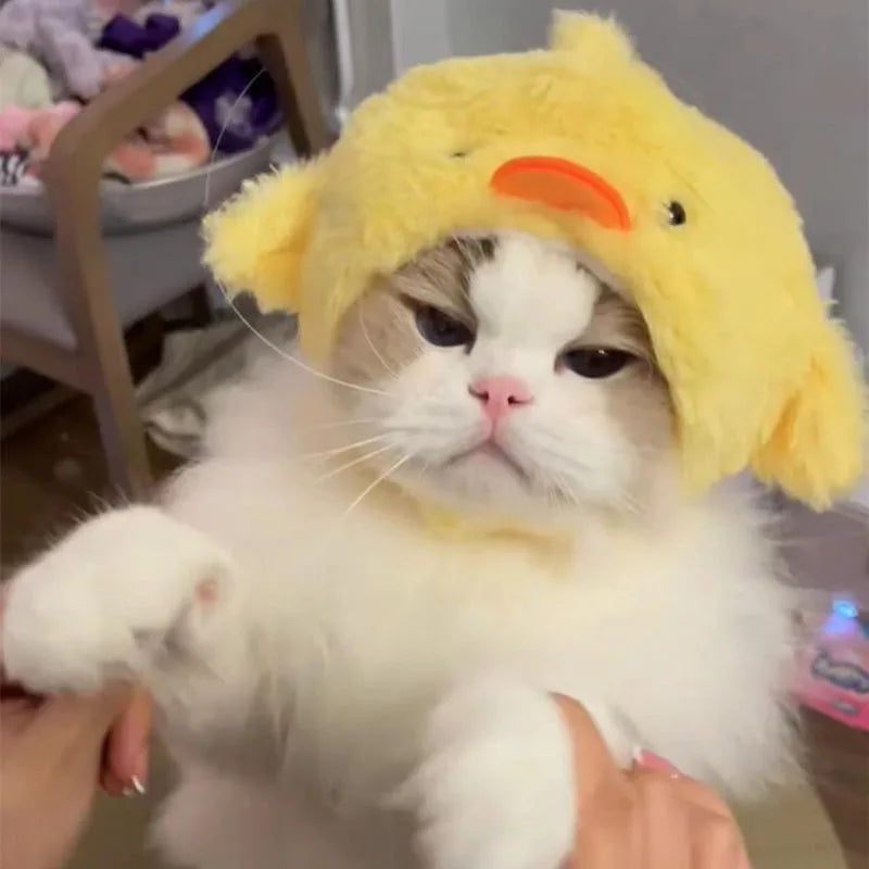 Plush Cat Headpieces – Fun & Cute Pet Hair Accessories Pet Hair Accessory Babs YELLOW