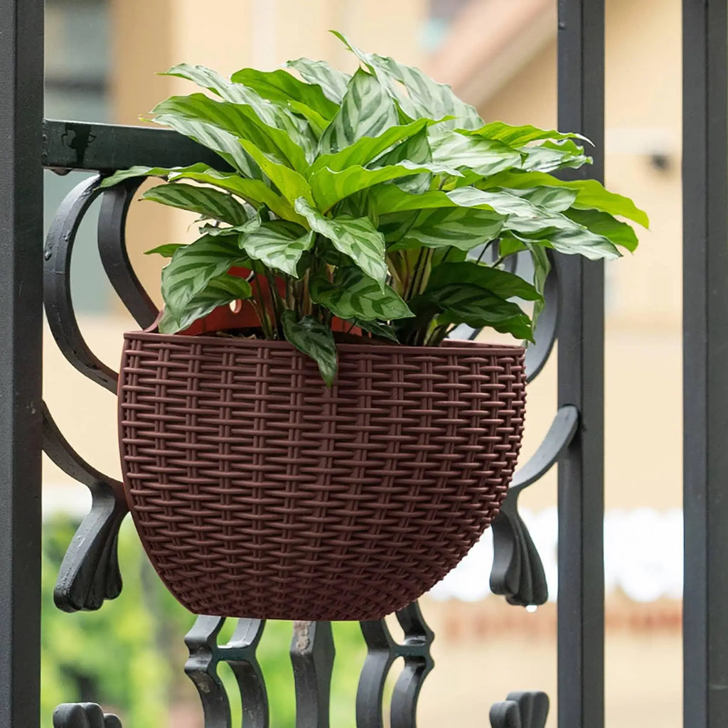 Wall Mounted Rattan Semicircle Hanging Planter Basket Wall Hanging Planter Babs