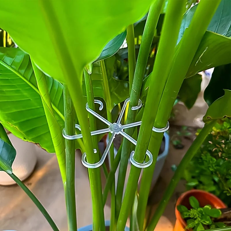 4-Piece Plant Stem Support Clips – Garden Branch Fixator Plant Support Clips Babs