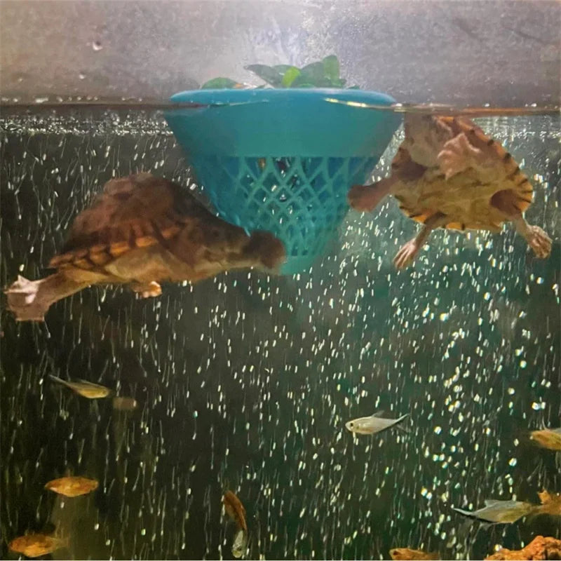 Floating Plant Pot for Water Lilies, Lotus & Aquatic Plants Floating Aquatic Planter Babs