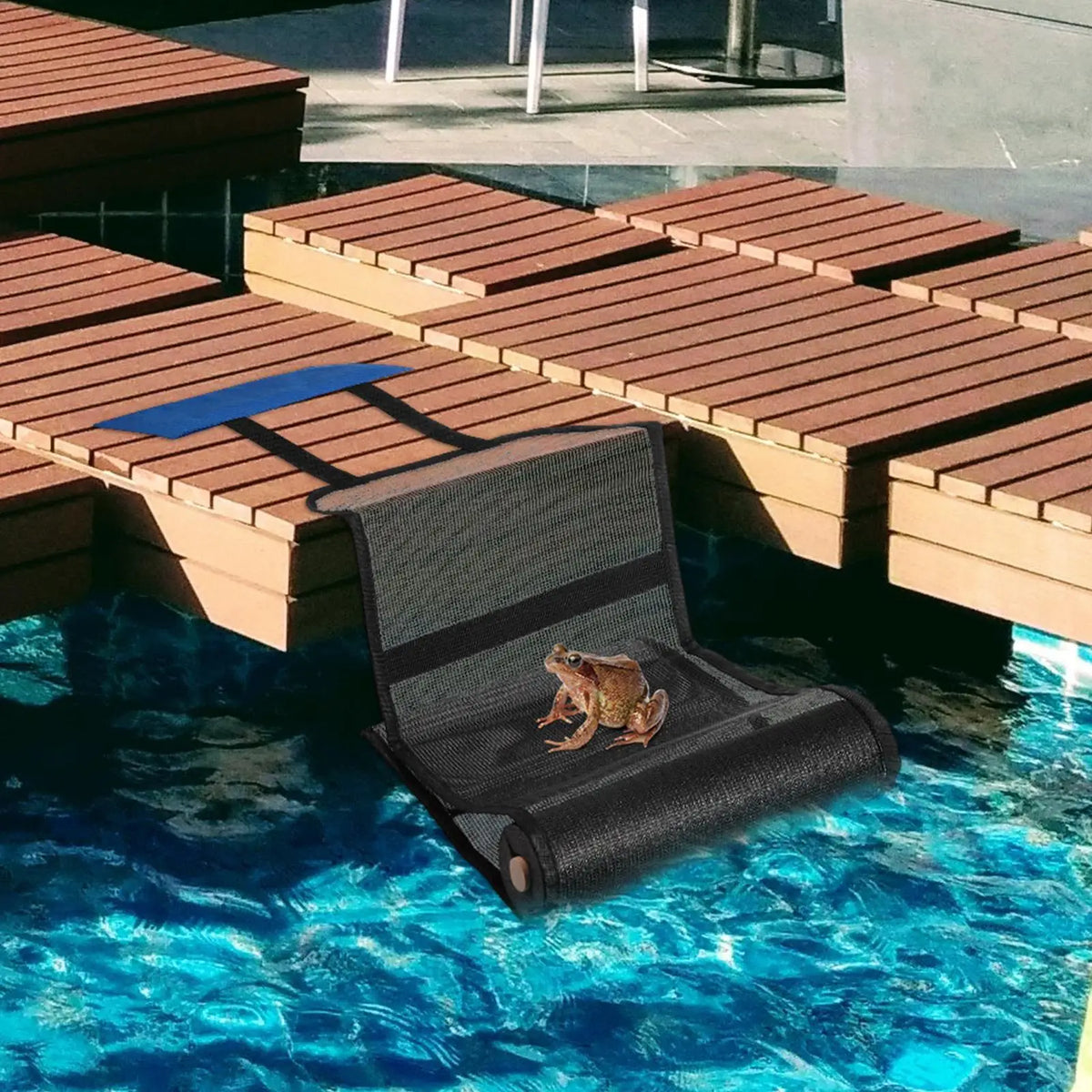 Pool Animal Escape Ramp – Floating Wildlife Rescue Ladder Animal Escape Ramp Babs