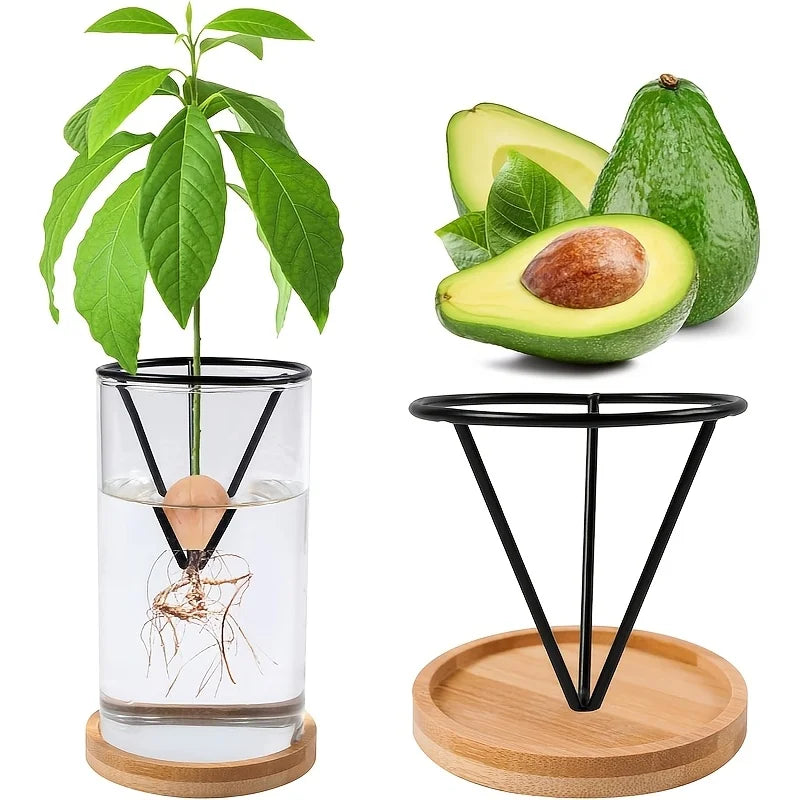 2Pcs Cone Hydroponic Seedling Planter Pots – Suspended Seed Holder Hydroponic Seedling Planter Babs