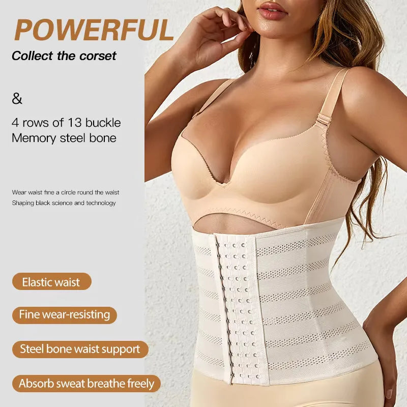 Women's Plus Size Waist Cincher Shapewear – Tummy Control Waist Cincher Shapewear Babs