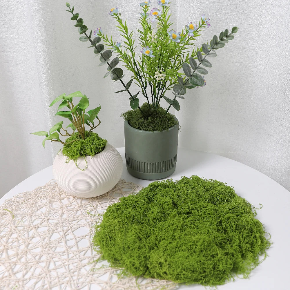 Artificial Faux Moss for DIY Crafts, Home & Garden Decor Artificial Moss Decor Babs 30g-Light Green