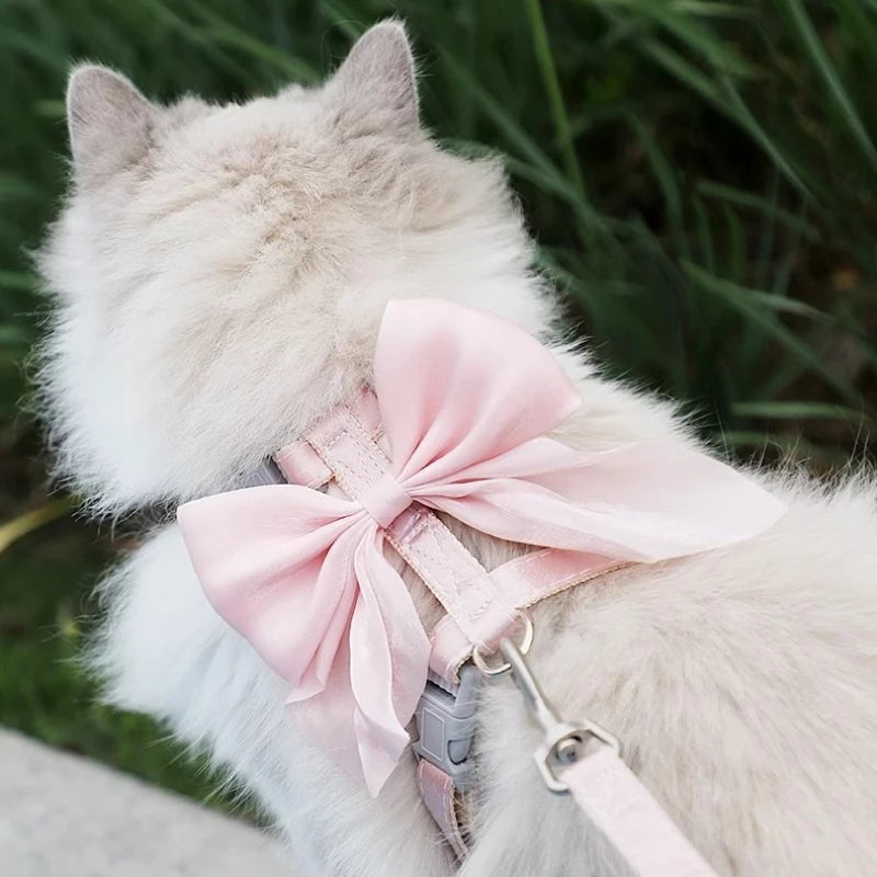 Bowknot Cat Harness & Leash Set – Adjustable for Small Pets Cat Harness & Leash Babs