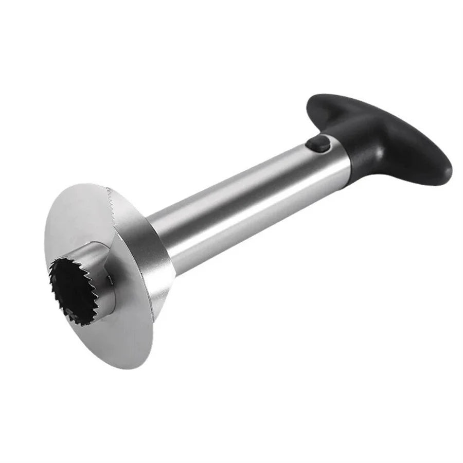 Stainless Steel Pineapple Peeler Cutter & Eye Remover Tool Fruit Peeler Tool Babs