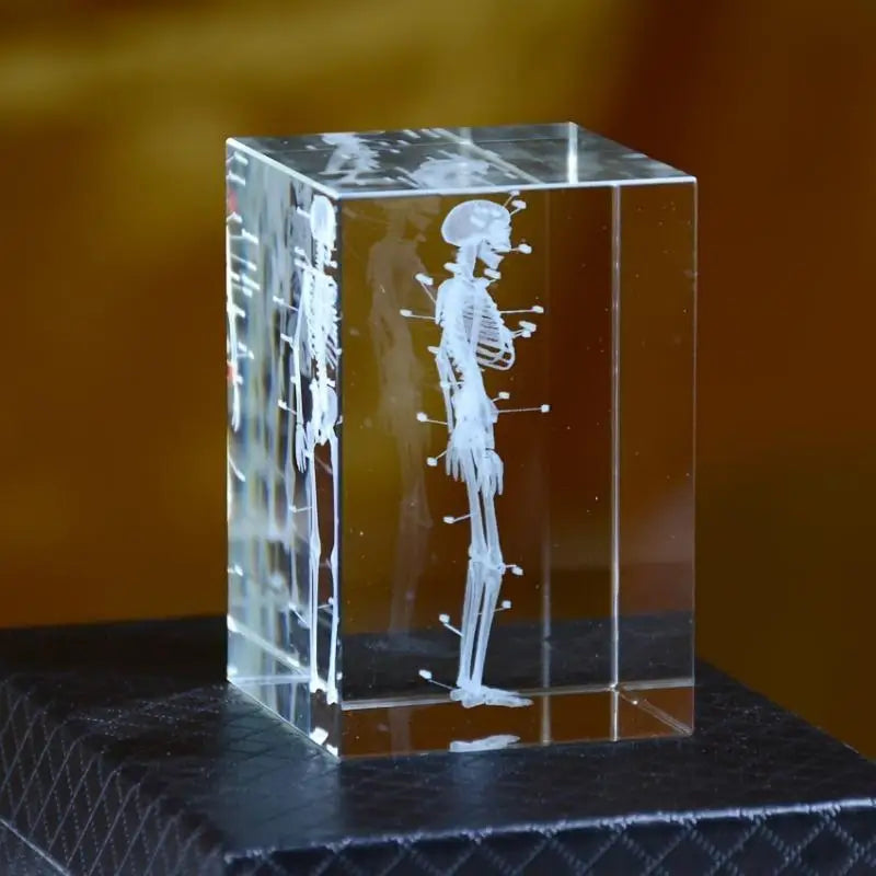 3D Laser Engraved Crystal Skeleton Cube Human Anatomy Paperweight Crystal Engraved Paperweight Babs
