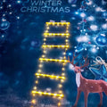 LED Christmas Ladder Light with Climbing Santa Claus | 3M Christmas LED Lights Babs Warm-3M-Ladder