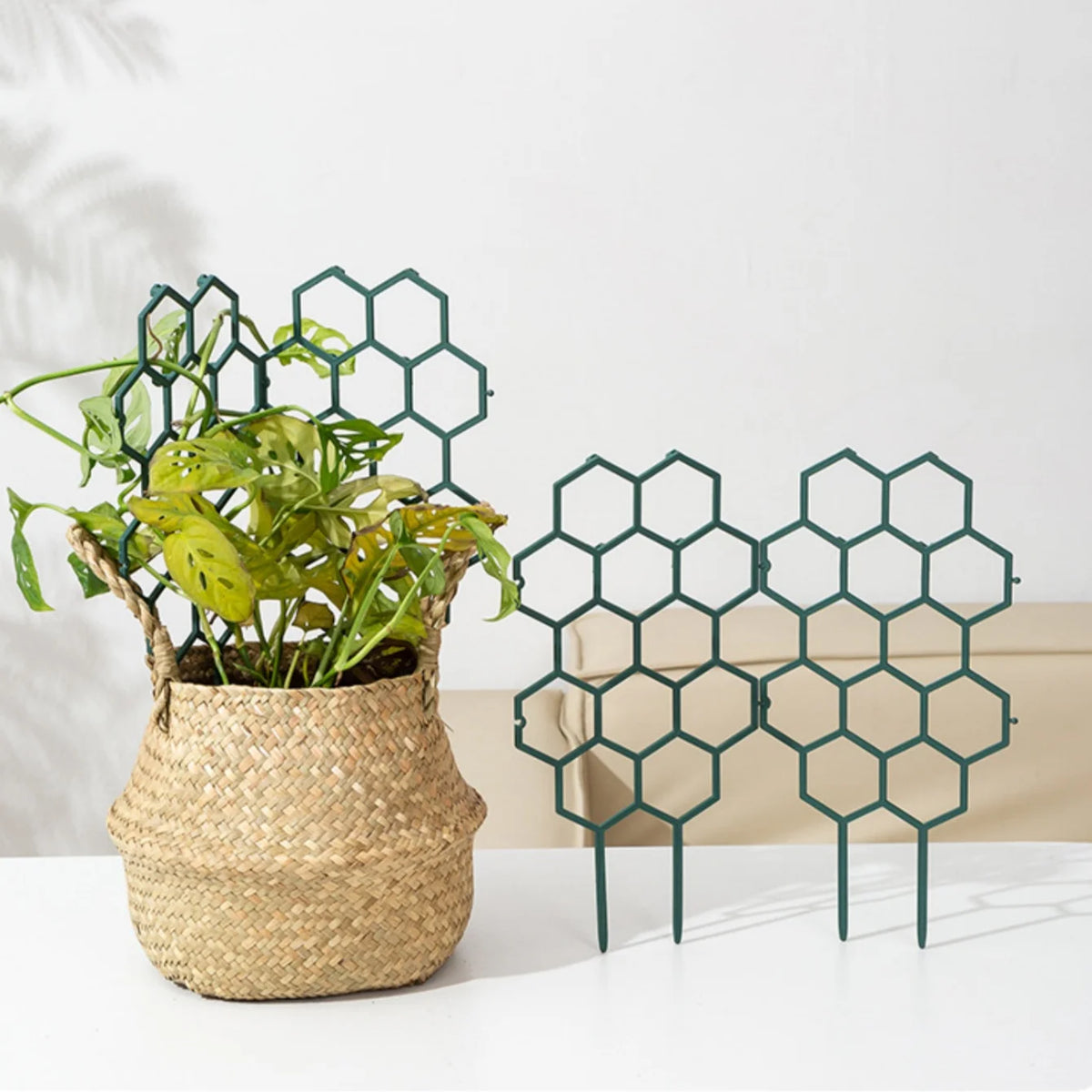 Honeycomb Plant Trellis – Plastic Climbing Frame for Vines Plant Trellis Stake Babs
