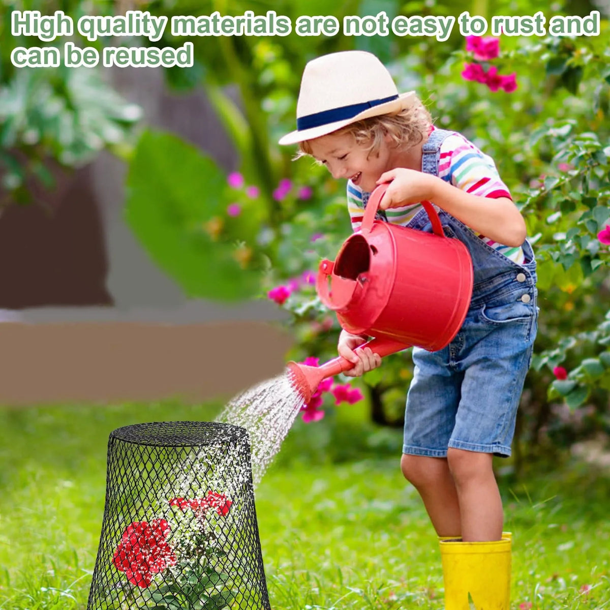 Chicken Wire Plant Cloches – Pest Guard Covers for Garden Garden Plant Cloche Babs