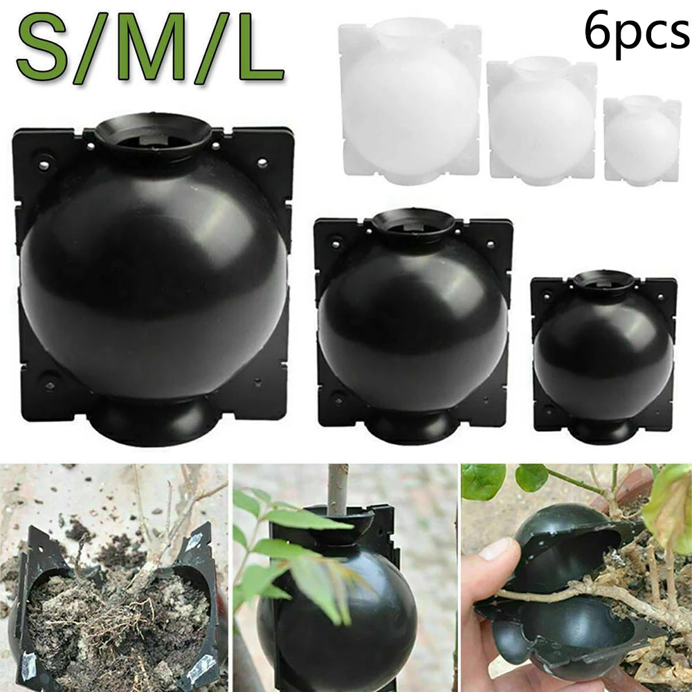 6pcs Plant Rooting Balls – Air Layering Propagation Pods S/M/L Plant Propagation Pods Babs