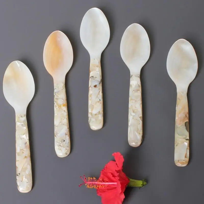 Conch Shell Spoon 15cm – Dessert, Coffee & Dinner Spoon Decorative Dining Spoon Babs