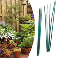 10pcs 40cm Green Plant Support Sticks – Garden & Floral Stakes Garden Plant Stakes Babs Default Title