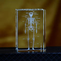 3D Laser Engraved Crystal Skeleton Cube Human Anatomy Paperweight Crystal Engraved Paperweight Babs 1pc